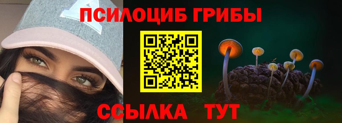 Черкесск  Псилоцибиновые грибы Psilocybine cubensis  Вход с VPN 